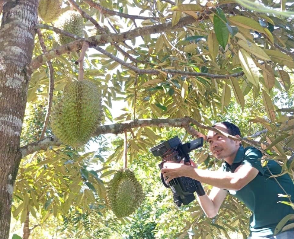 durian(1).jpg