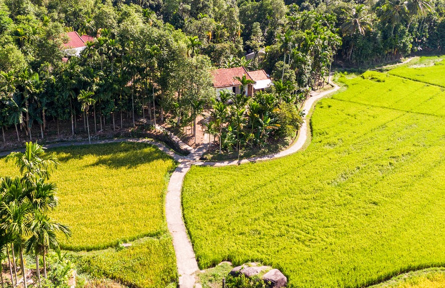 Nông nghiệp hữu cơ mở lối du lịch cộng đồng