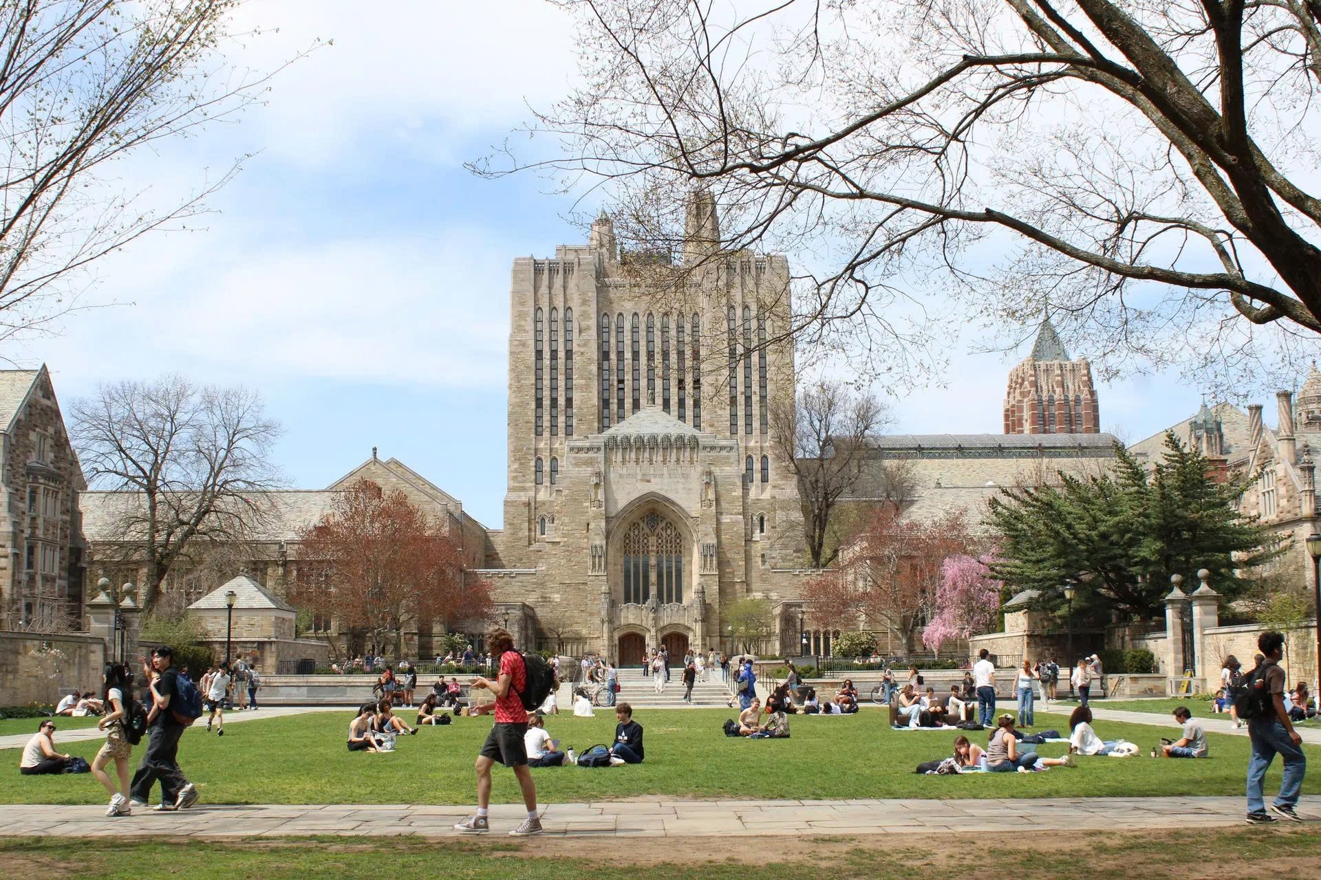 yale.jpg
