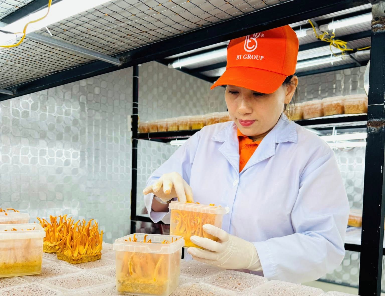 Các sản phẩm đông trùng hạ thảo của BT Group từng vướng hiểu lầm với một thương hiệu tương tự dù đã đăng ký với Cục Sở hữu trí tuệ