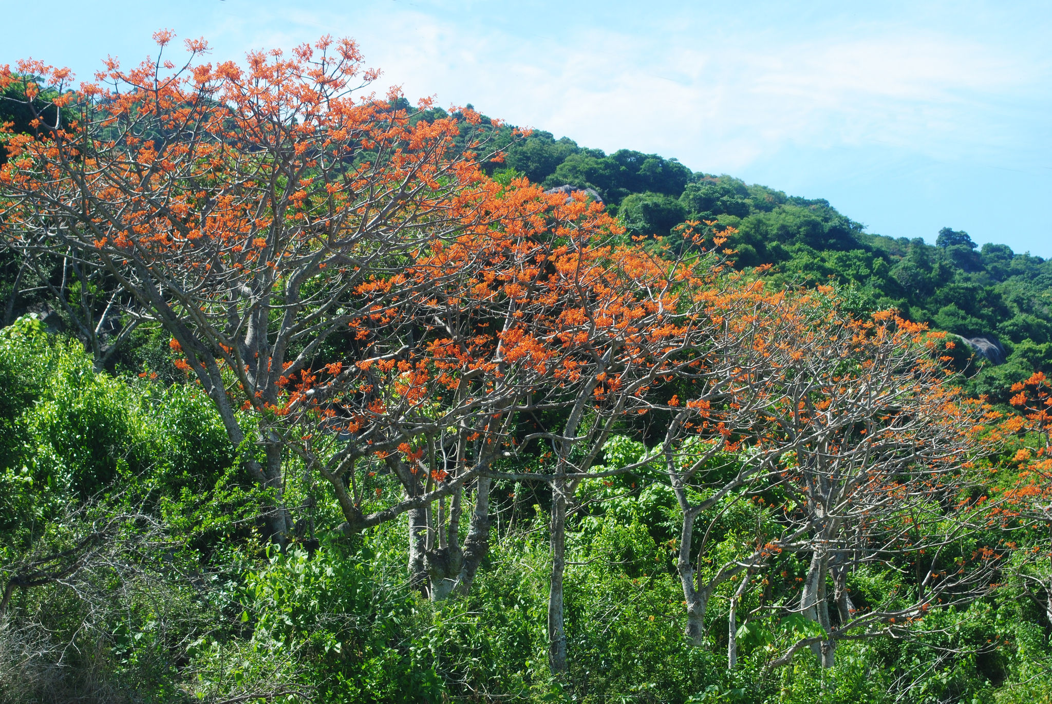 dsc_5020.jpg