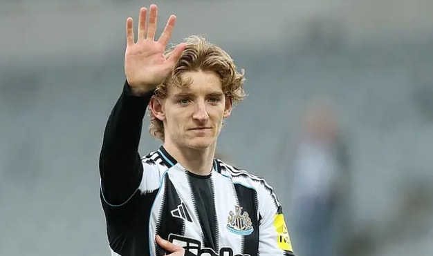 Newcastle đang tìm nhân sự thay thế Gordon.