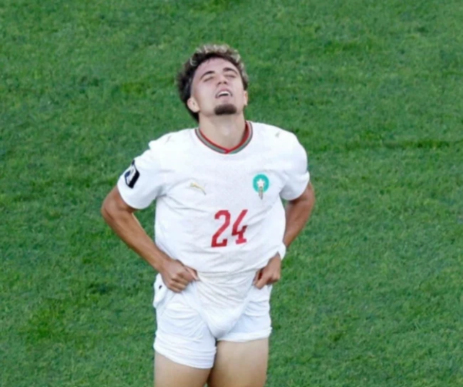 Neil El Aynaoui thi đấu nỗ lực