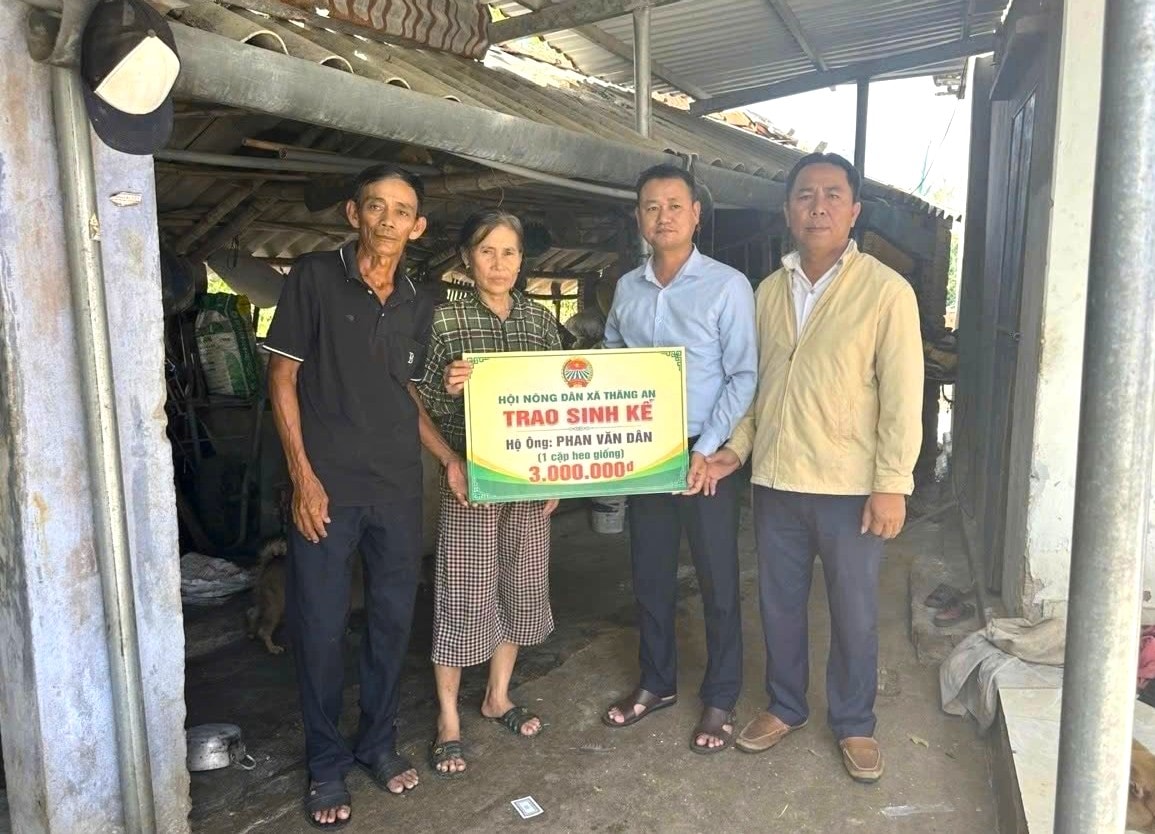 24-6nongdanbai1 b