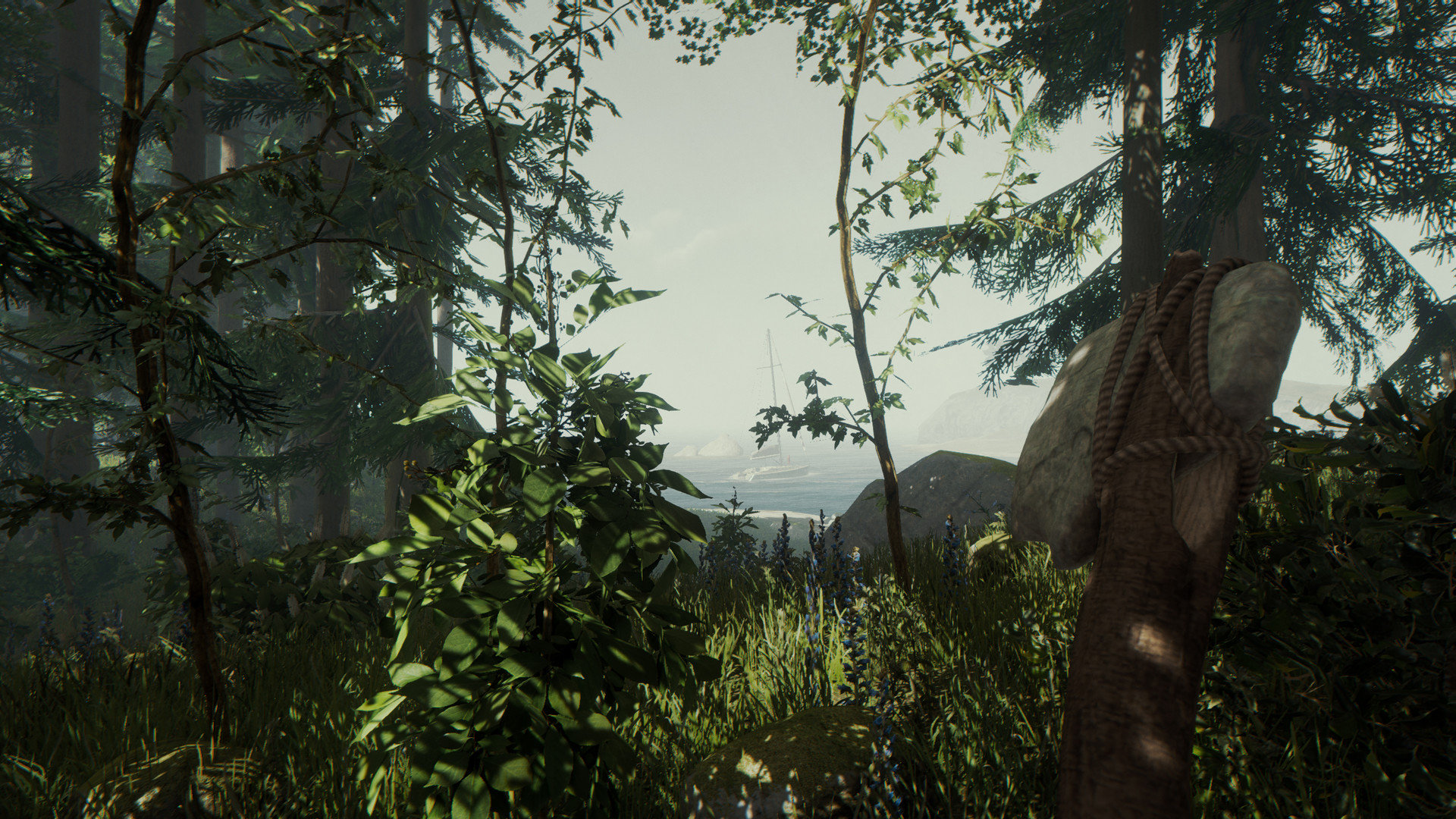 Khung cảnh thiên nhiên và phương tiện di chuyển trong game The Forest