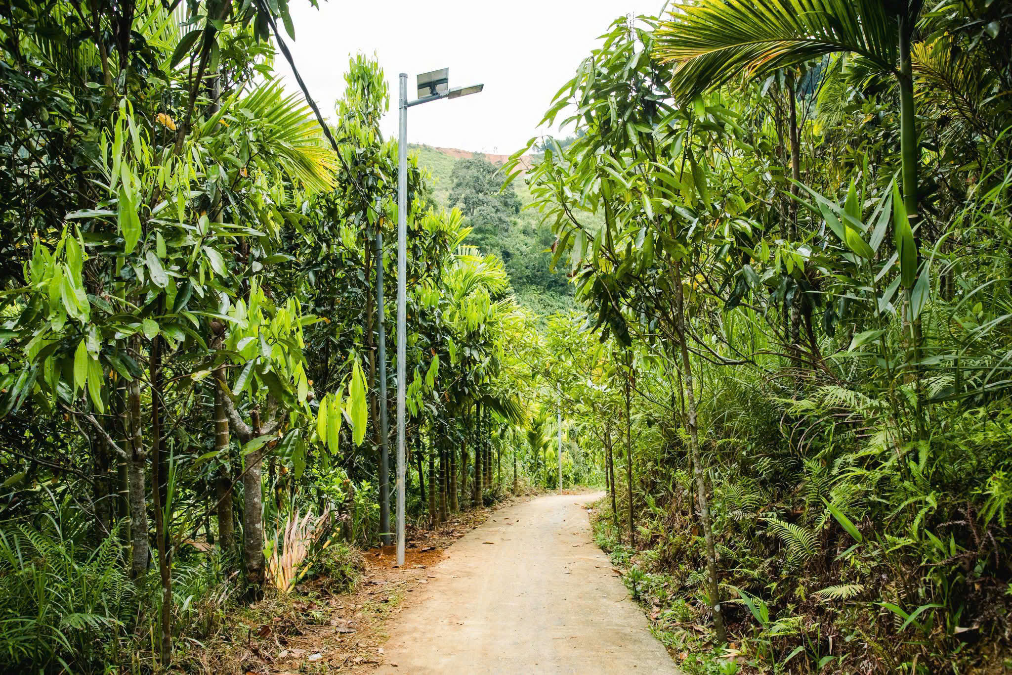 thap sang tuyen duong