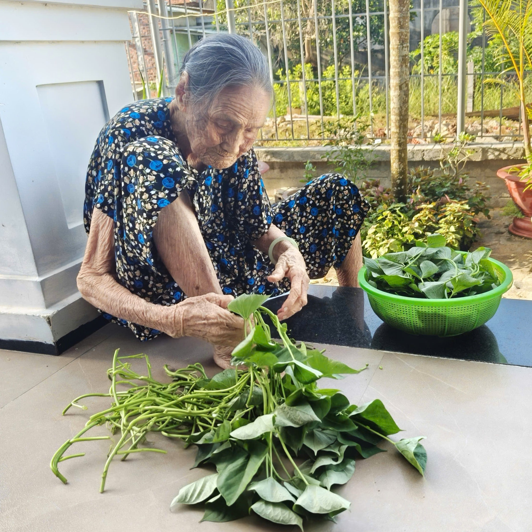Bên hiên nhà, Mẹ Nhỏ lủi thủi nhặt mớ rau lang chuẩn bị cho bữa cơm chiều. Ảnh: THÚY HIỀN