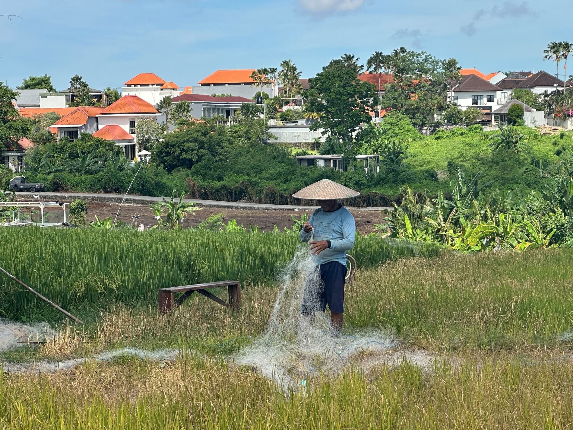 bali 1