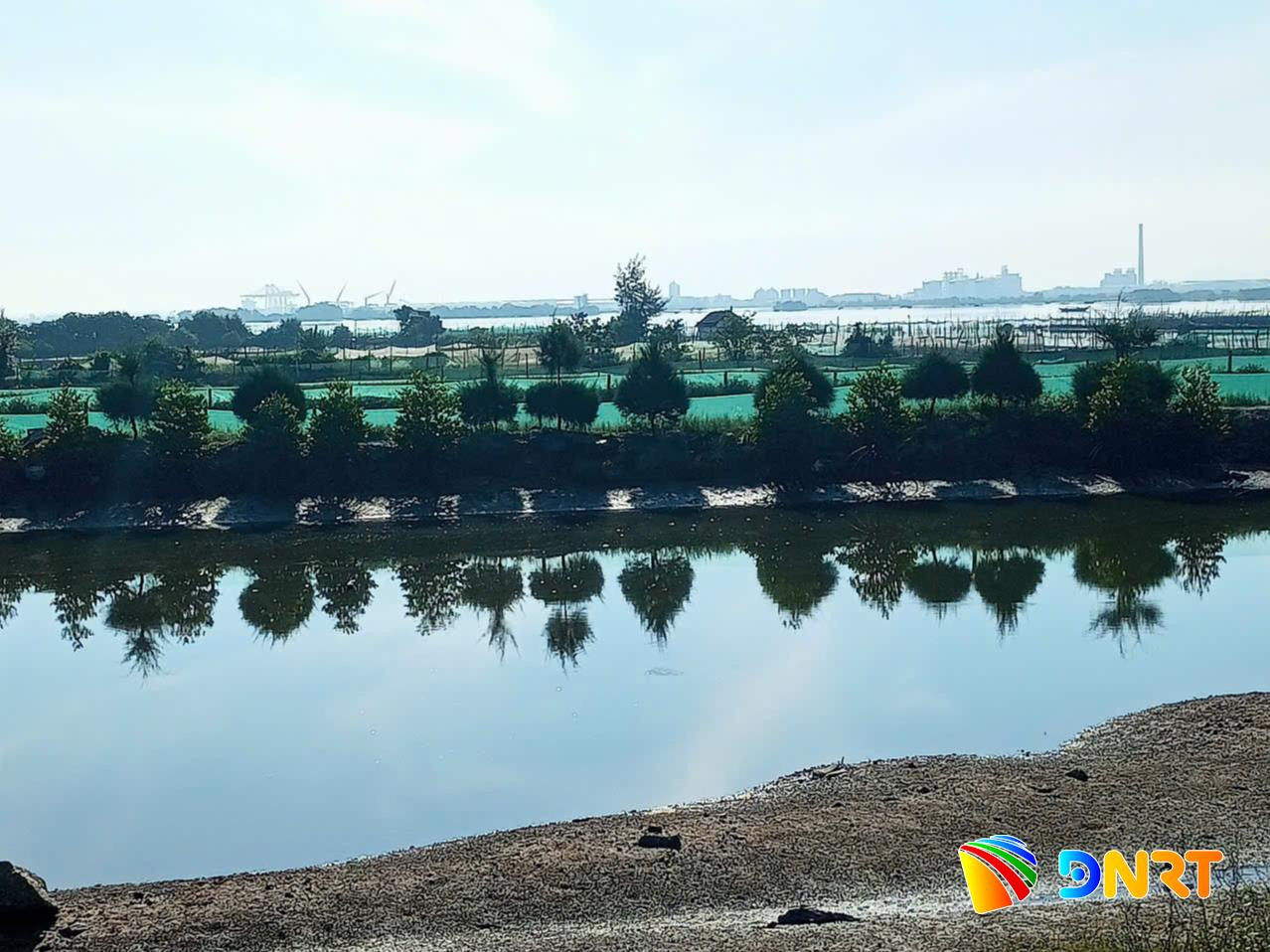 nuoi-tom-ket-hop-trong-cay-ngap-man.-anh-van-phin.jpg
