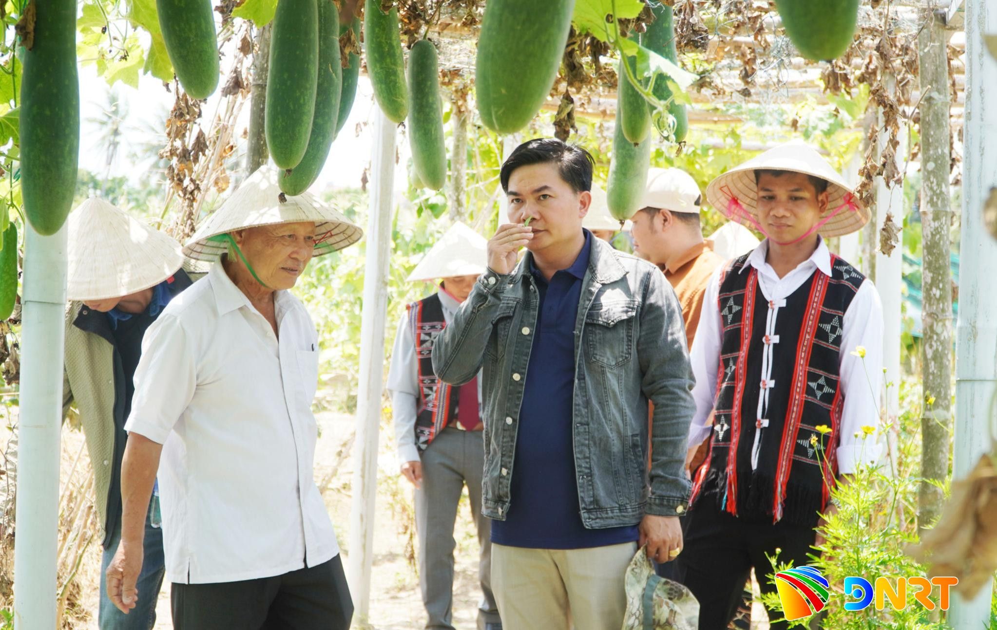 lanh-dao-xa-avuong-va-dai-dien-nguoi-dan-thon-aur-hoc-hoi-mo-hinh-nong-nghiep-huu-co-tai-phuong-hoi-an-dong.jpg