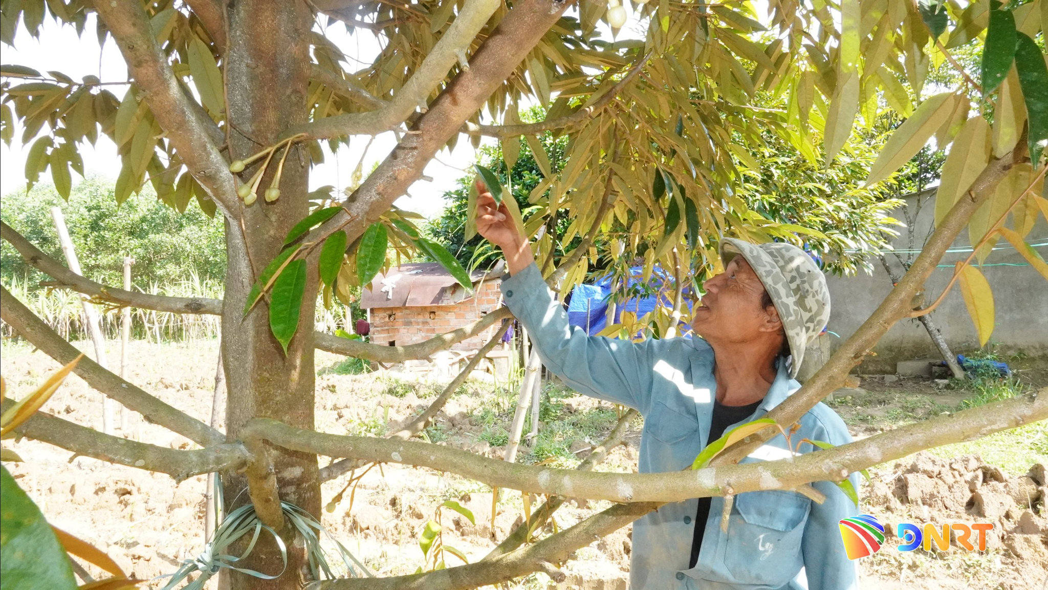 Ông Vũ Thế Việt