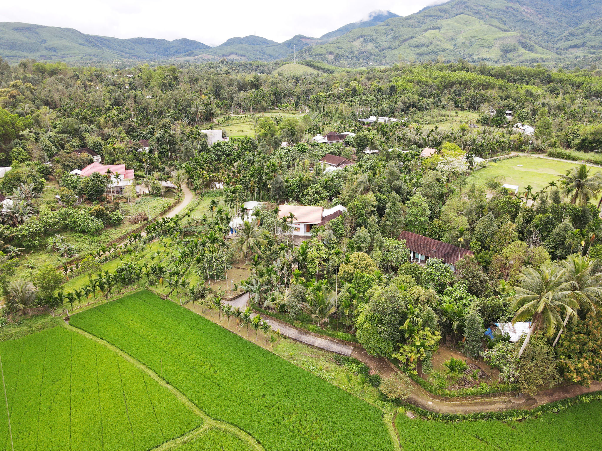 hang-cau-xanh-tao-canh-quang-sinh-thai-trong-lang-co-loc-yen.jpg