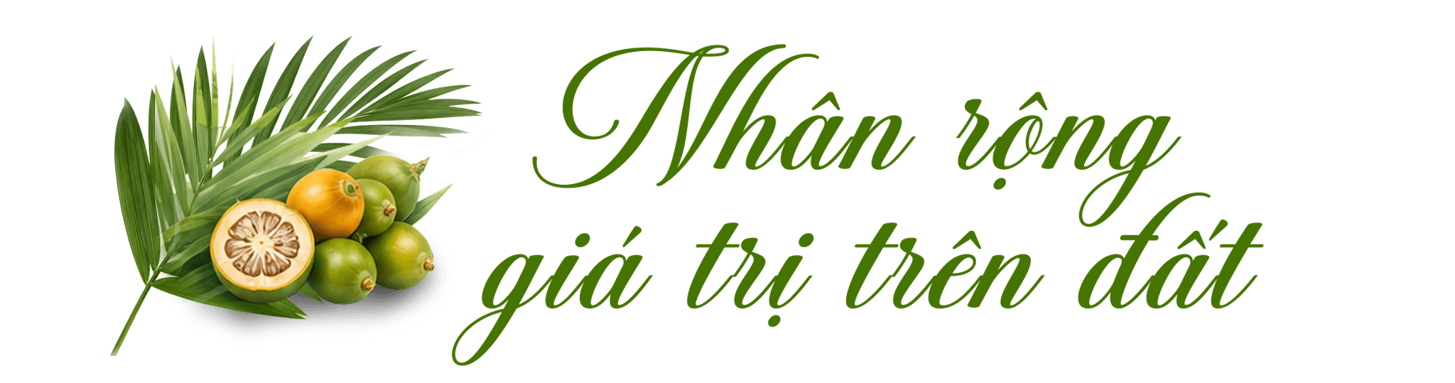 tit2.png