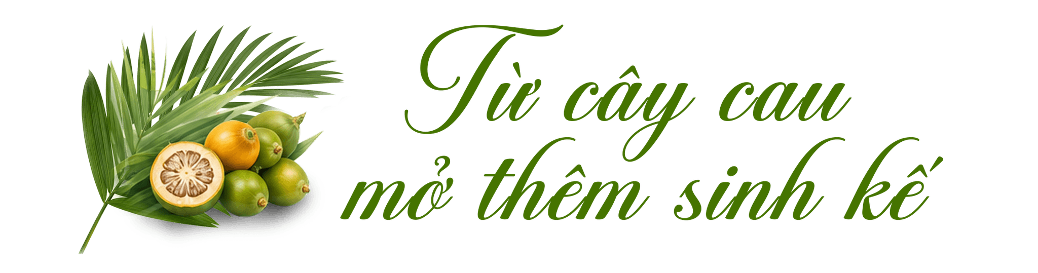 tit3.png