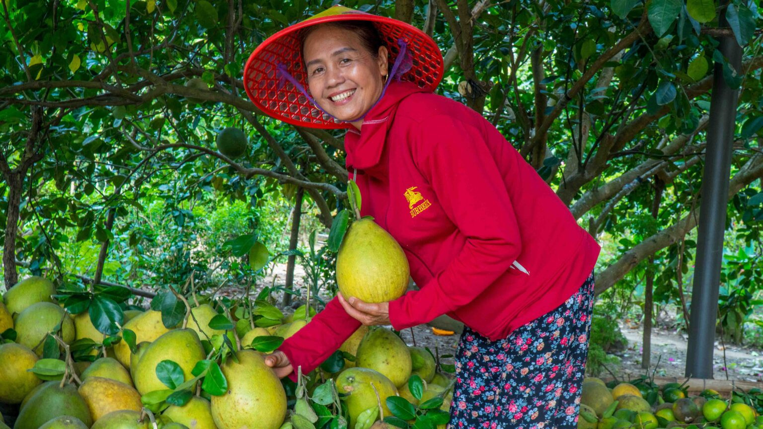 lang-trai-cay-dai-binh-1536x864.jpg