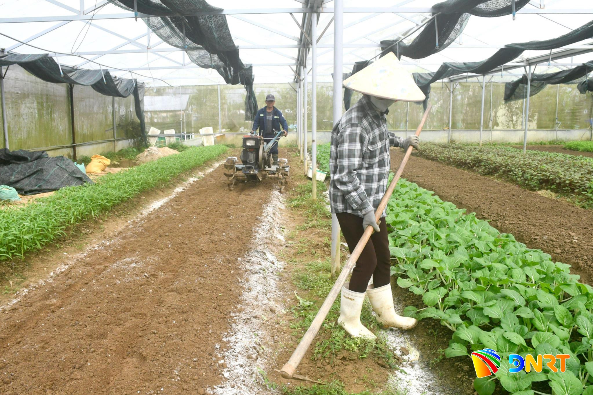 canh-tac-giam-phat-thai.jpg