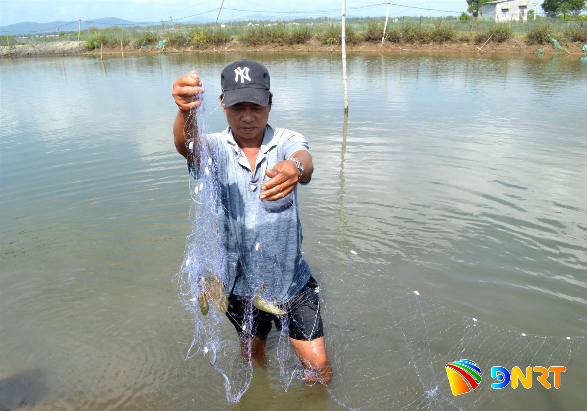 nuoi-oc-huong-2.jpg