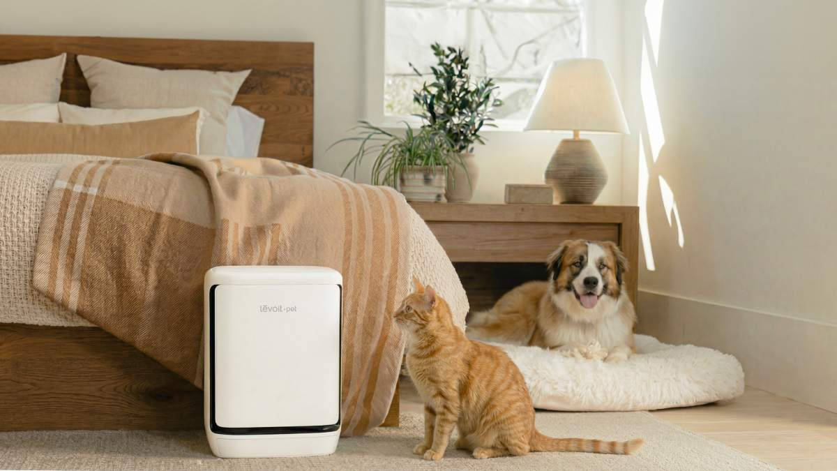 Máy lọc không khí Levoit Vital Pet Pro ra mắt