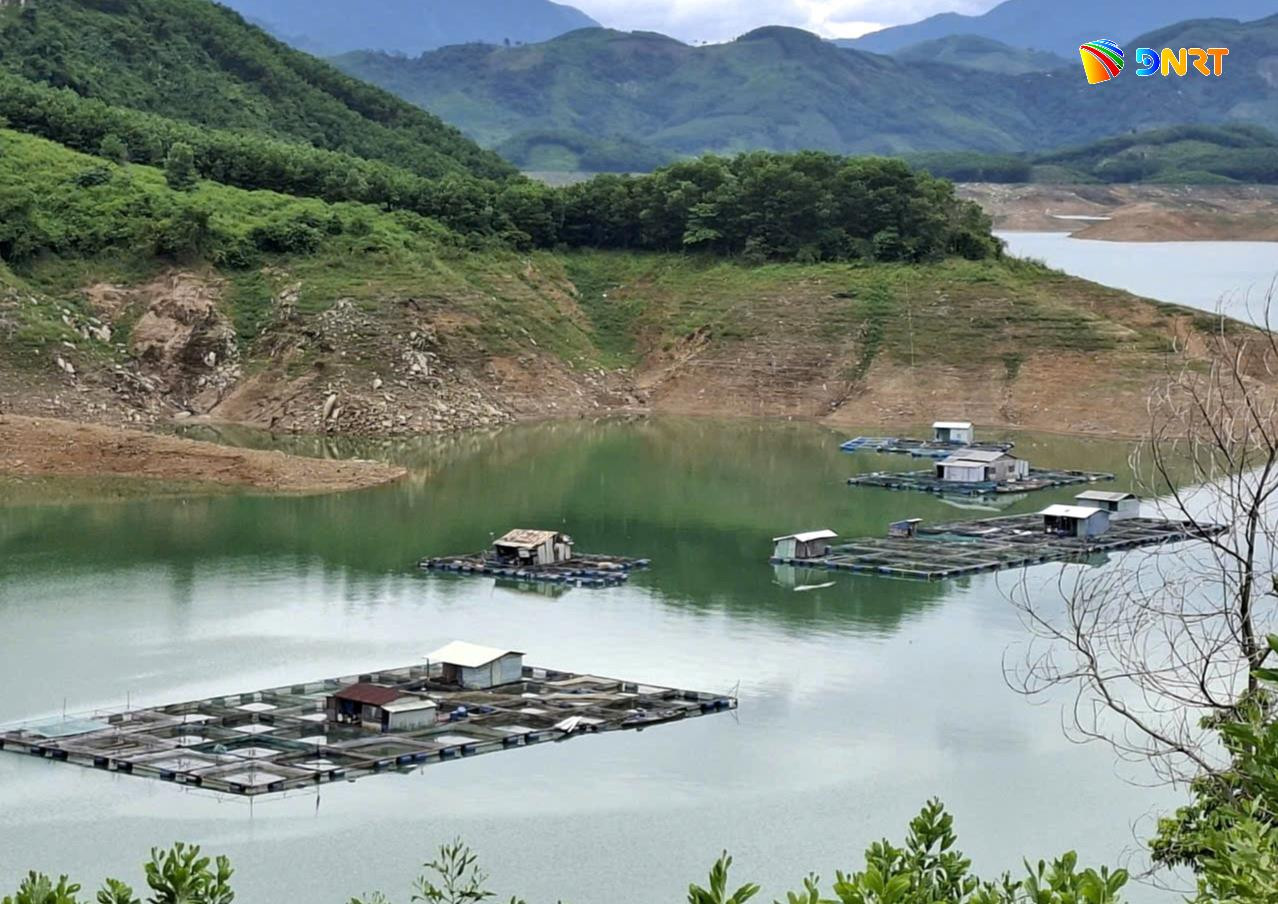 nuoi-ca-song-tranh-2-1-.jpg