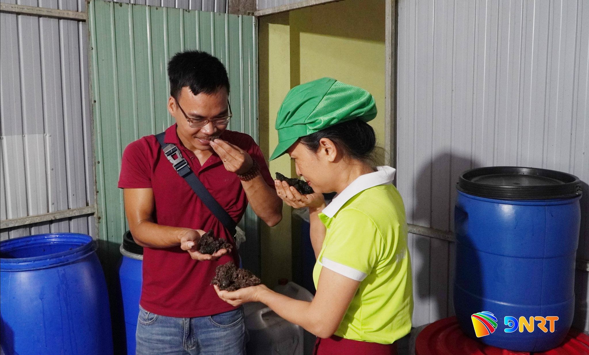 HTX Phú Bình và HTX Best One kiểm tra chất lượng bả nhàu