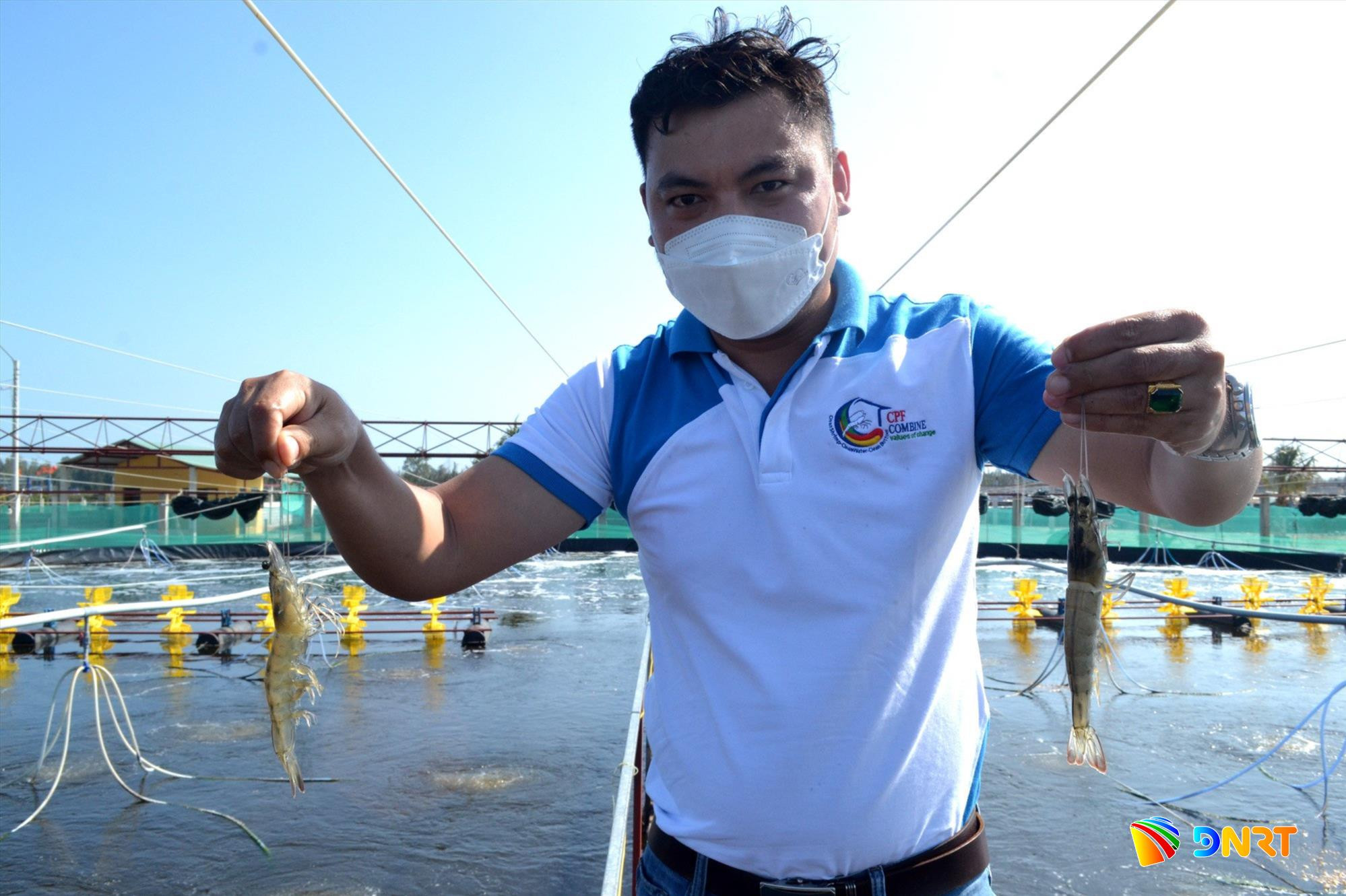 nuoi-tom-moi-truong-nuoc.jpg