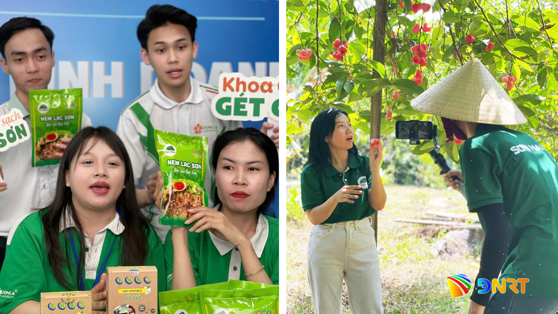 Sinh viên Trường Đại học Kinh tế, Đại học Đà Nẵng tham gia vào các chiến dịch marketing của Sơn Mai Farm