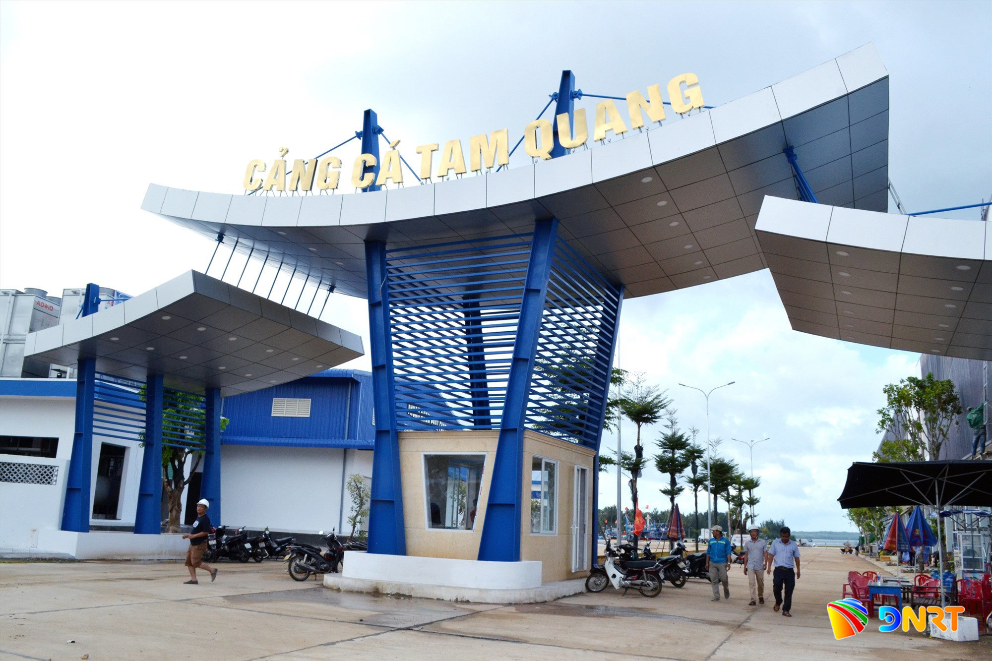 cang-ca-tam-quang.jpg