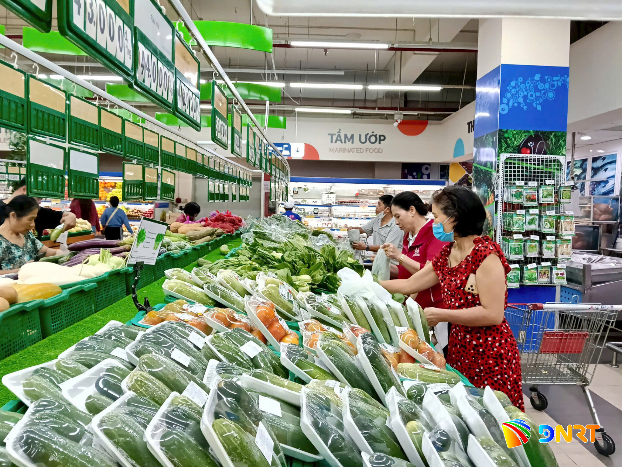 Đề xuất giảm 30% thuế thu nhập cá nhân và thuế thu nhập doanh nghiệp theo quy định đang nhận được những phản hồi tích cực từ cộng đồng doanh nghiệp. Ảnh minh họa: KHÁNH HÒA