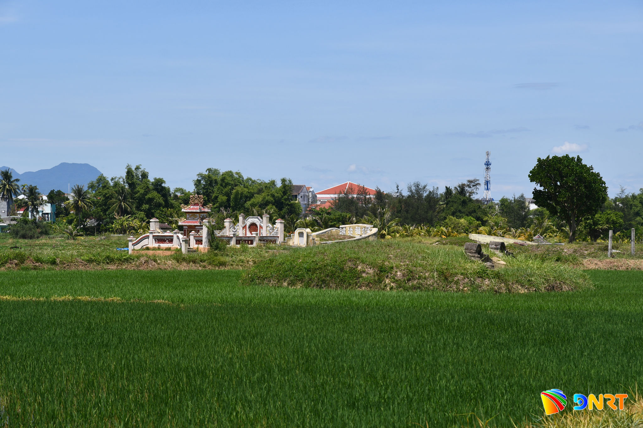 khu-mo-toc-nguyen-viet-nam-giua-canh-dong-lang-de-vong.jpg