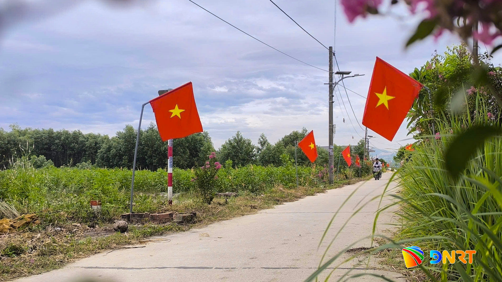 Một tuyến đường ở thôn An Long trở nên sạch sẽ sau khi được dọn dẹp. Ảnh: ĐÔNG YÊN