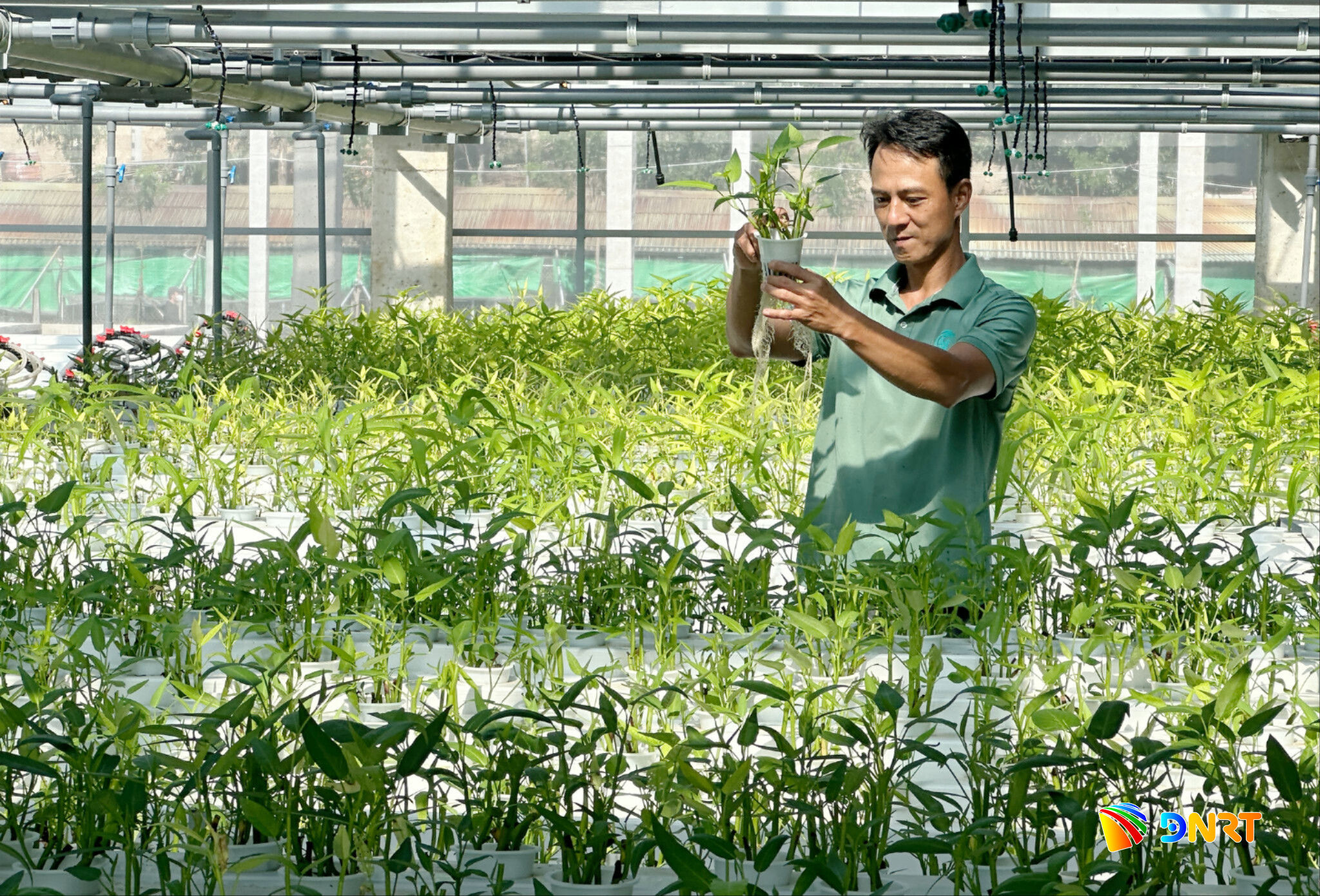 he-thong-aquaponics-can-quy-trinh-kiem-soat-nghiem-ngat(1).jpg