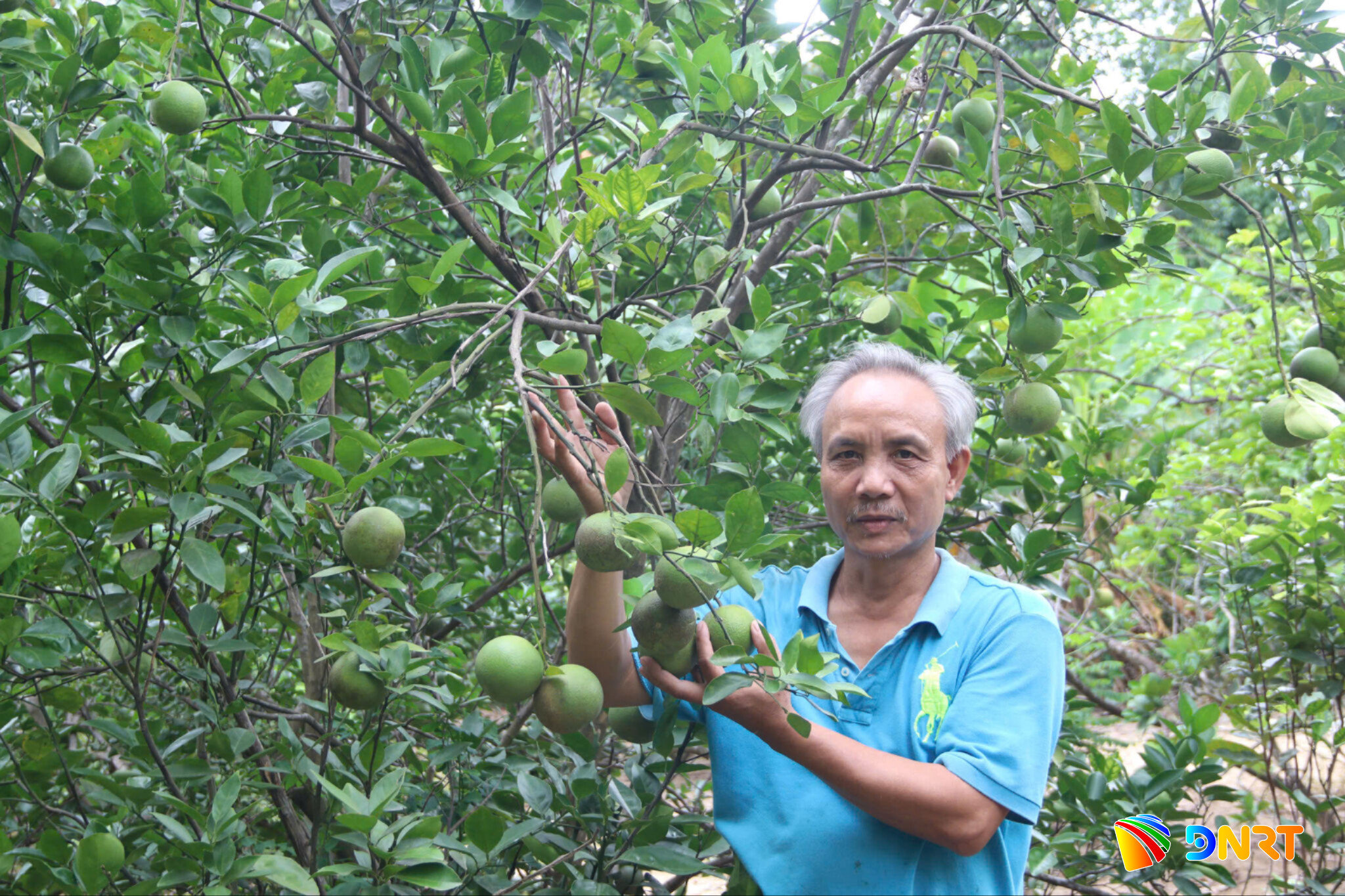 nong-son-2.jpg