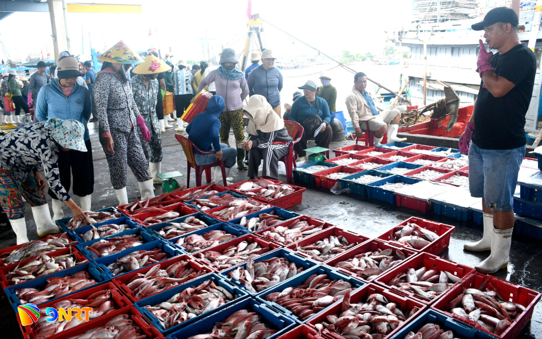 iuu-2(1).jpg