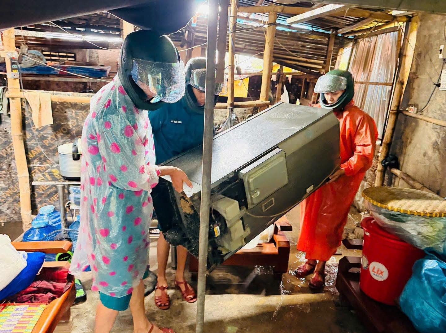 hoa vang