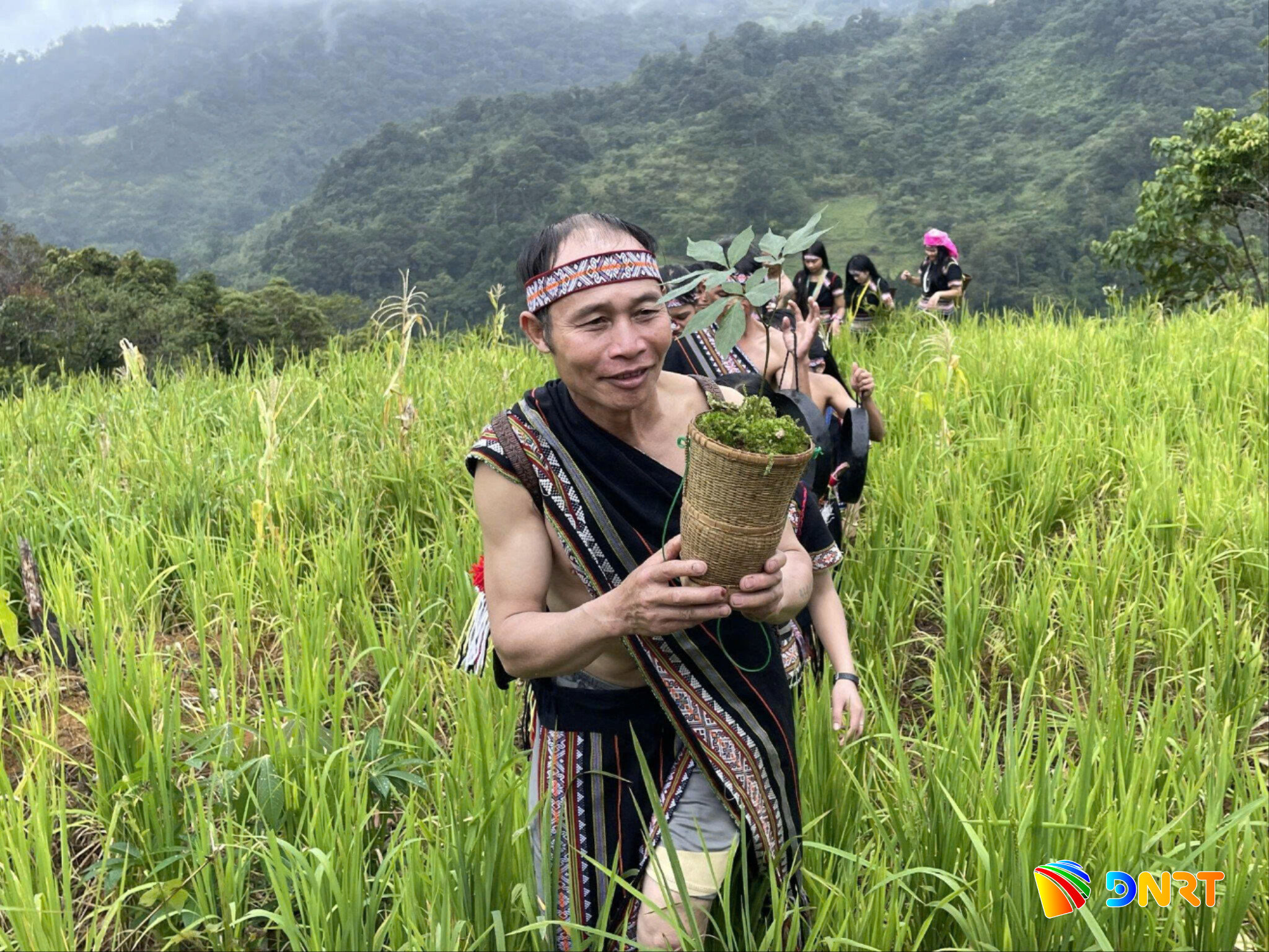 Phát triển thương hiệu sâm gắn với du lịch