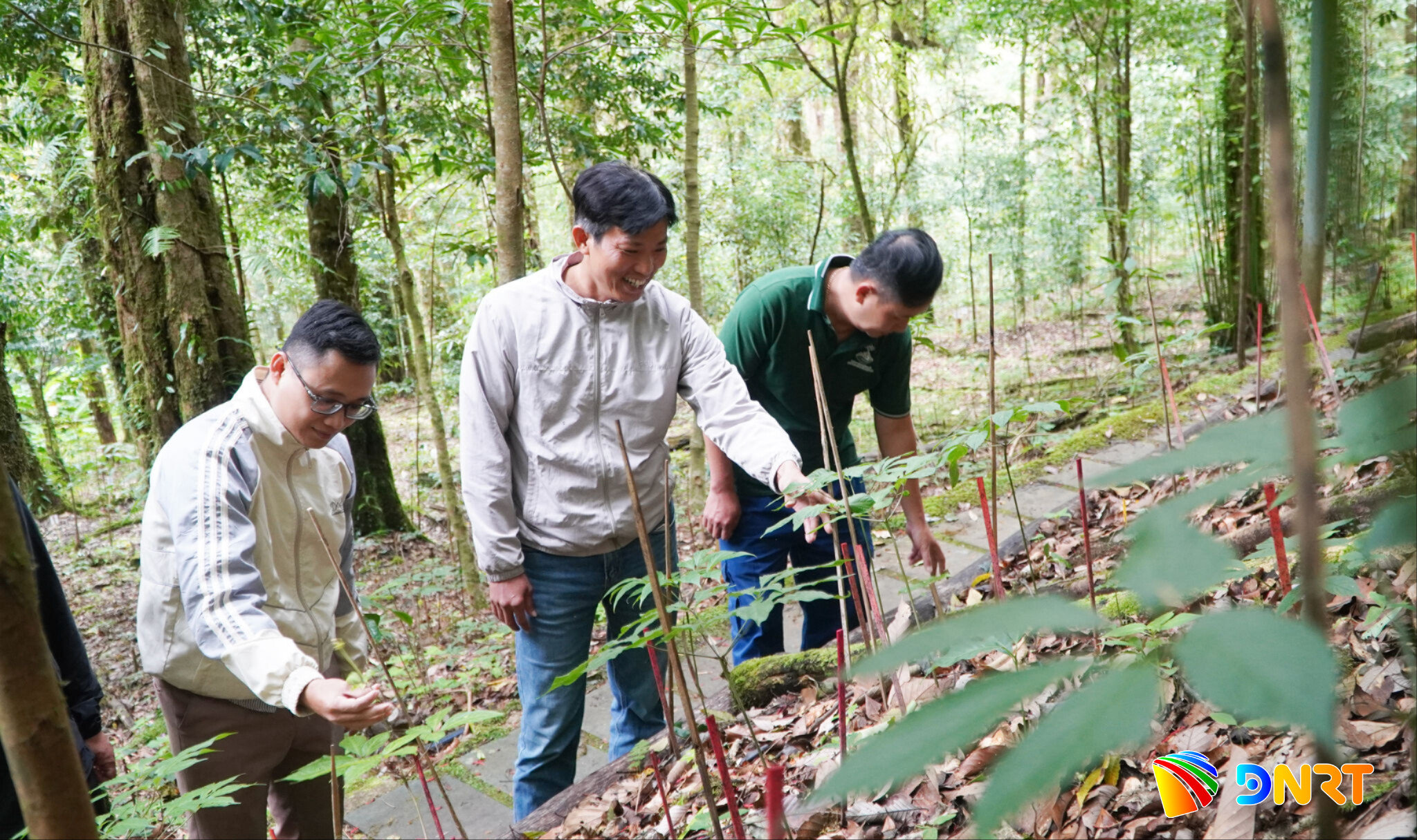 Trung tâm Phát triển Sâm và Dược liệu