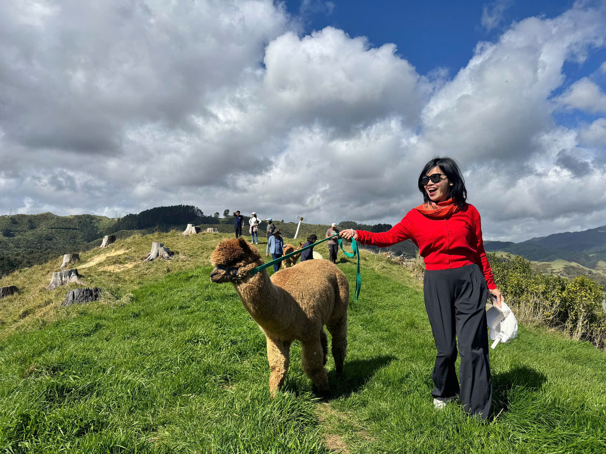 Chị bạn thích thú khi dắt chú Alpaca lên đồi