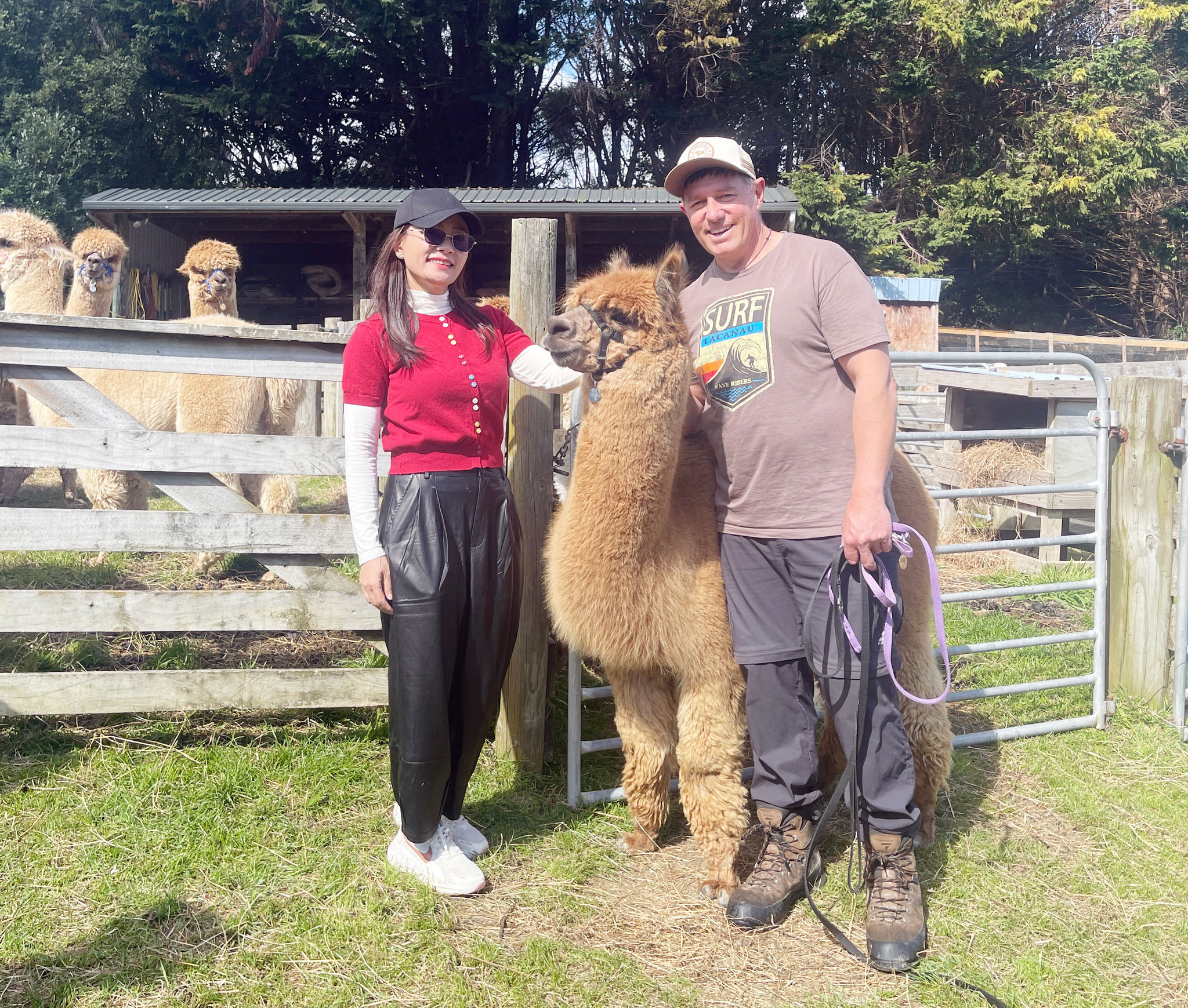 Tác giả và anh Matt, chủ trang trại Alpaca tại Paraparaumu