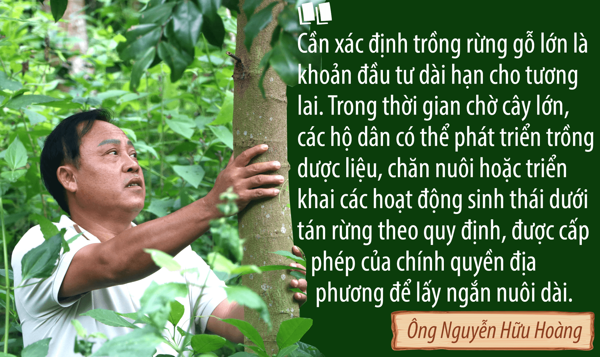 hoang.png