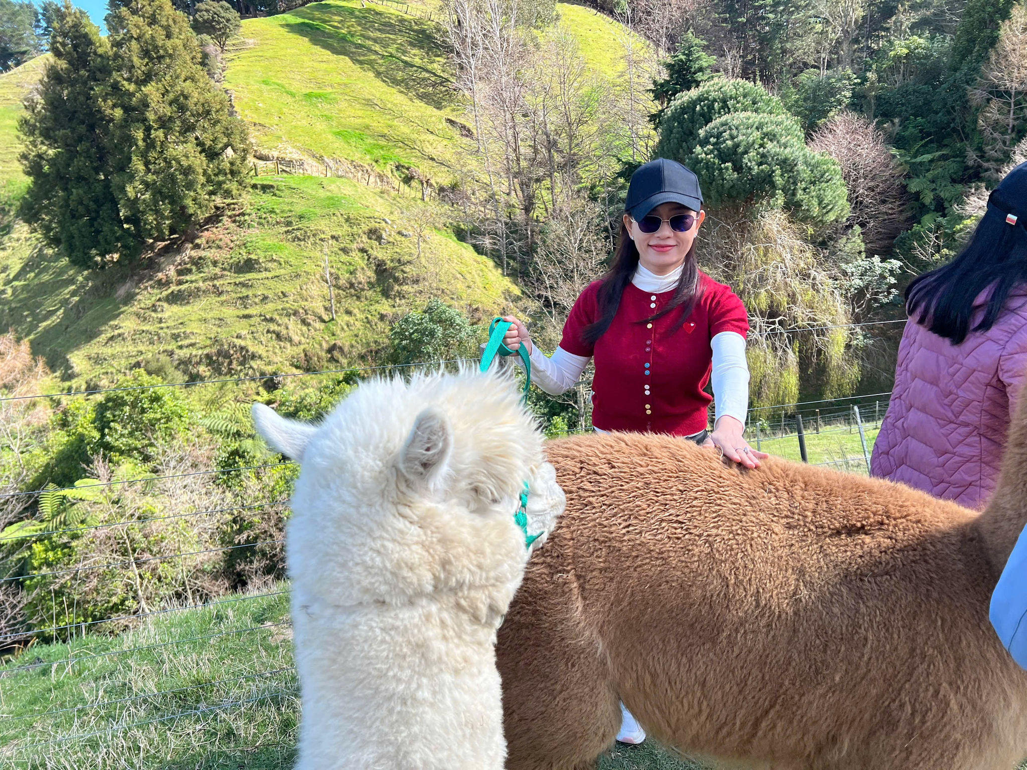 Tác giả và chú Alpaca Trigger