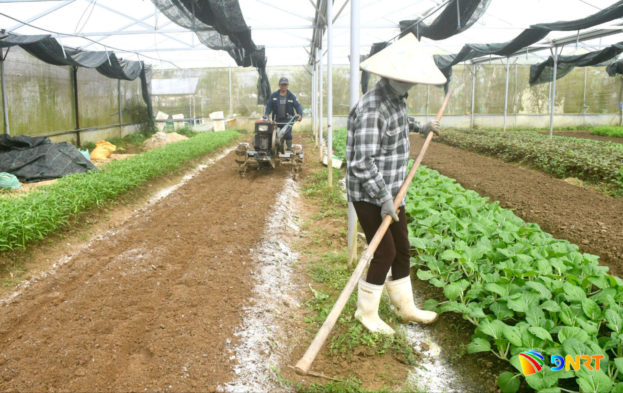 cong-nghe-cao.jpg