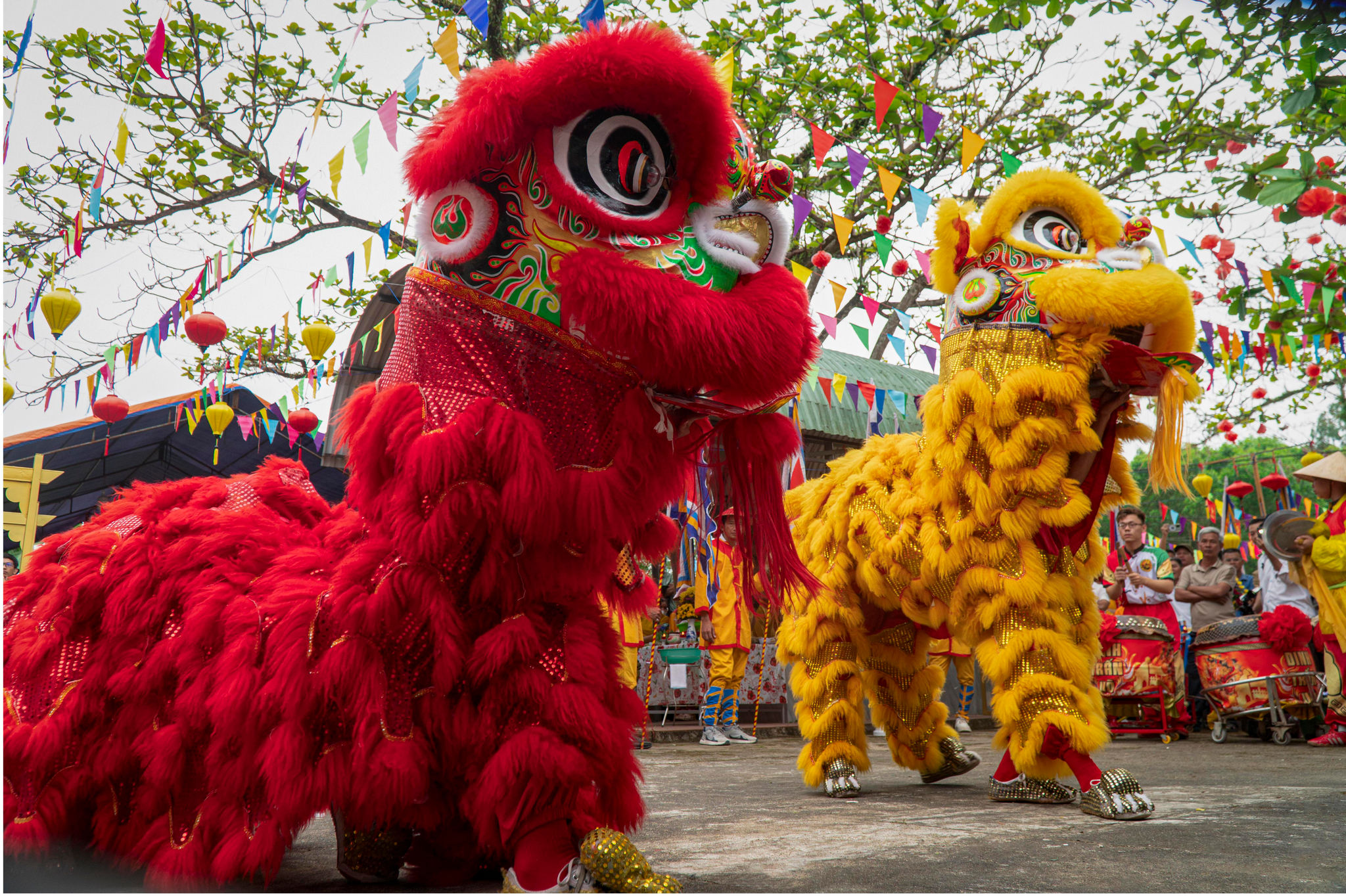 7) Song lân biểu diễn tại lễ hội. Ảnh Nguyễn Điện Ngọc