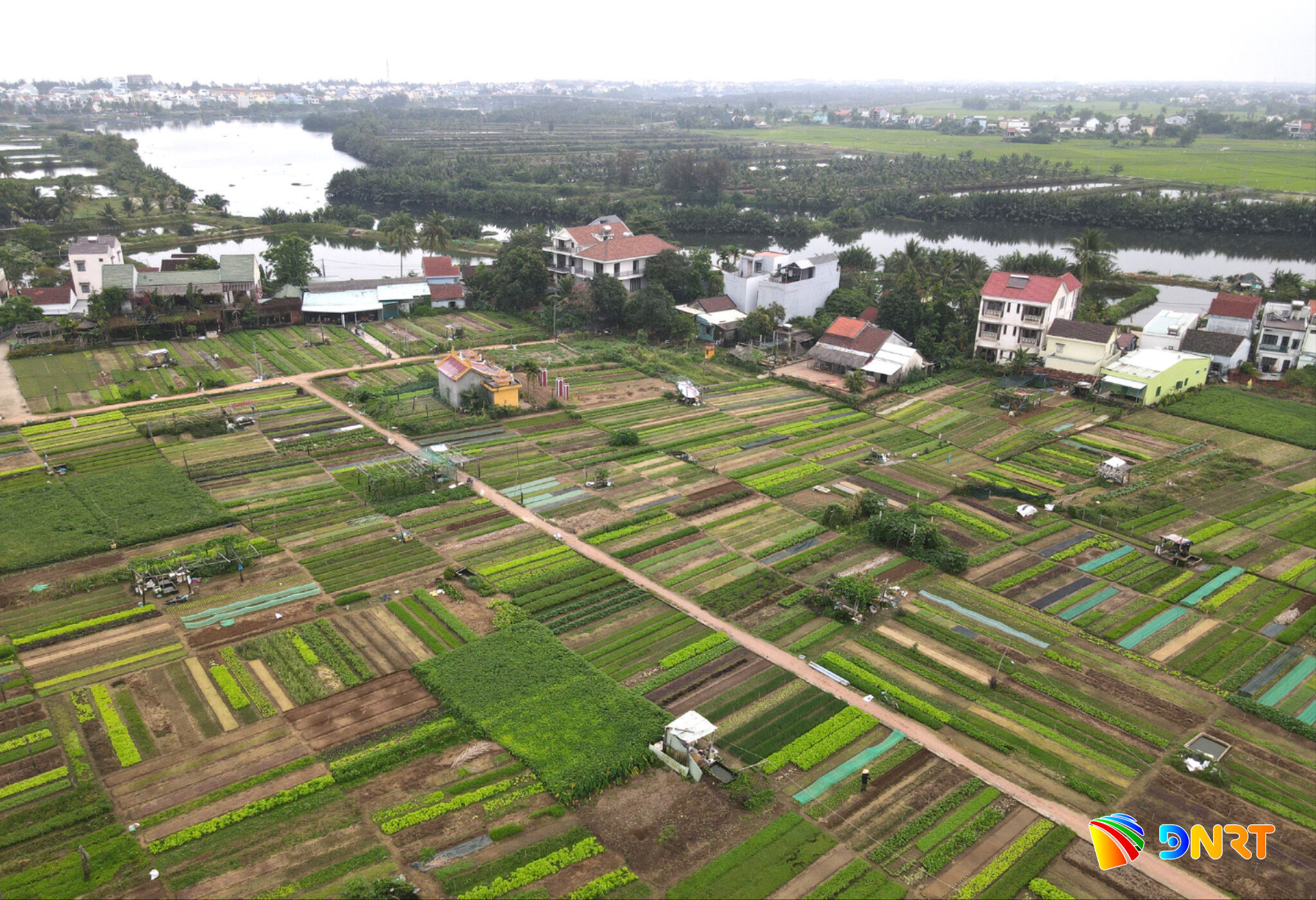 Làng rau Trà Quế