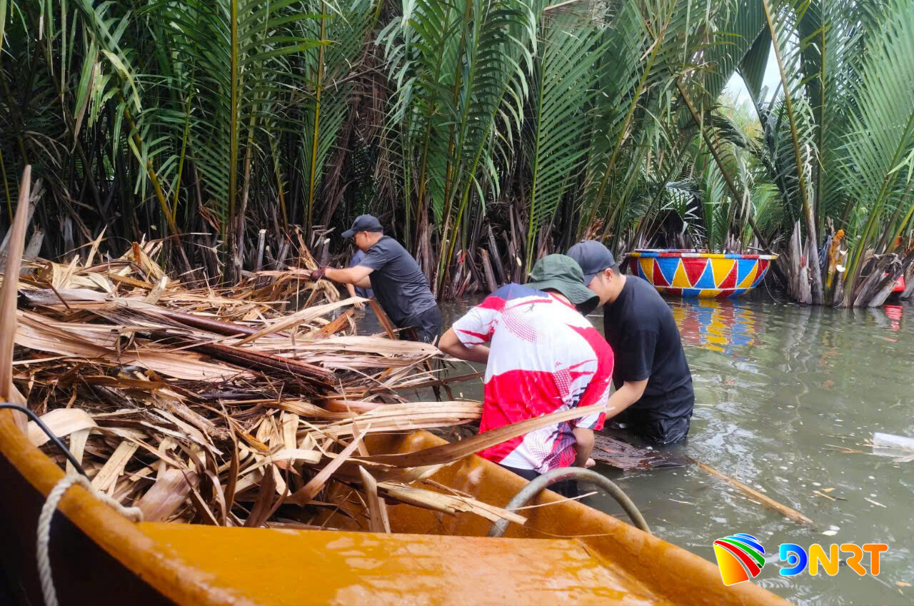 Hoạt động thu gom rác thải, dừa khô được triển khai thường xuyên để bảo đảm cảnh quan, môi trường sinh thái tại rừng dừa Bảy Mẫu. Ảnh: KHÔI NGUYÊN