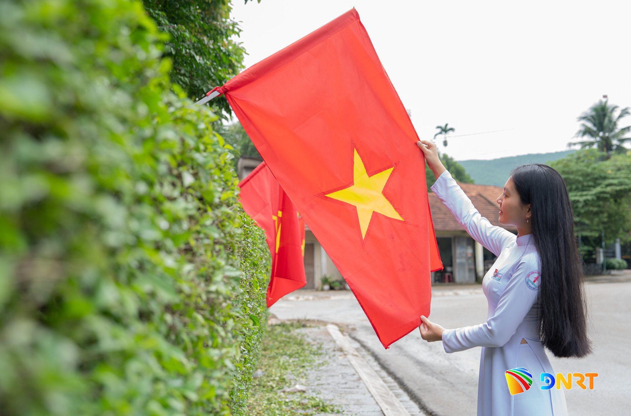 anh12.jpg