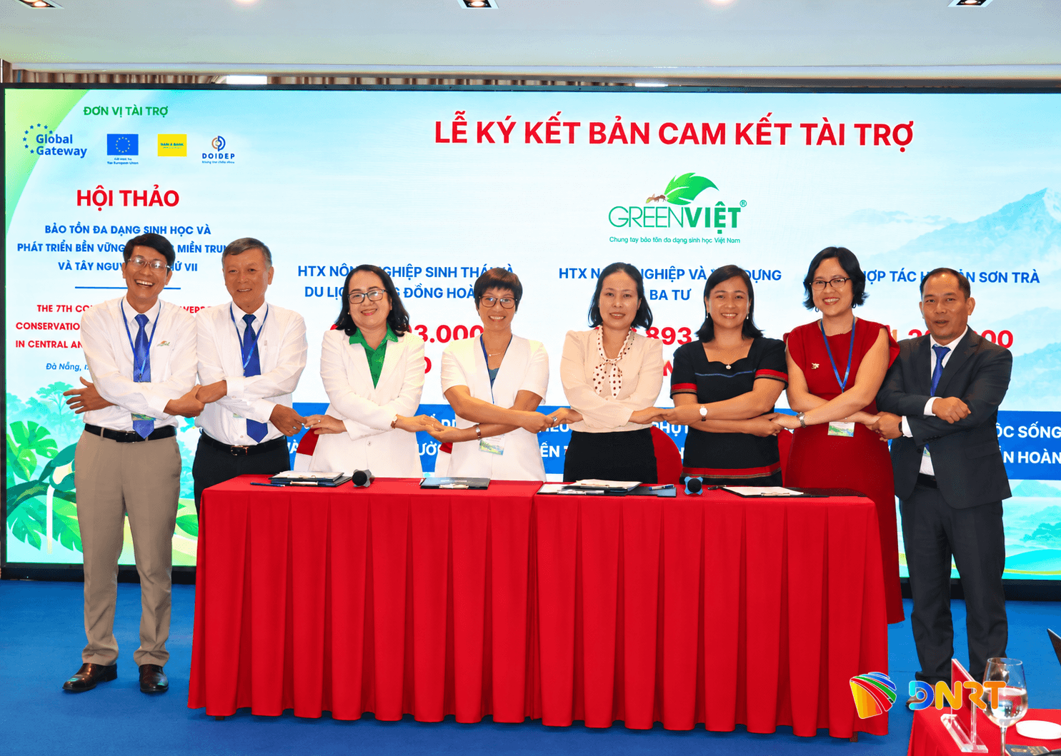 hợp tác