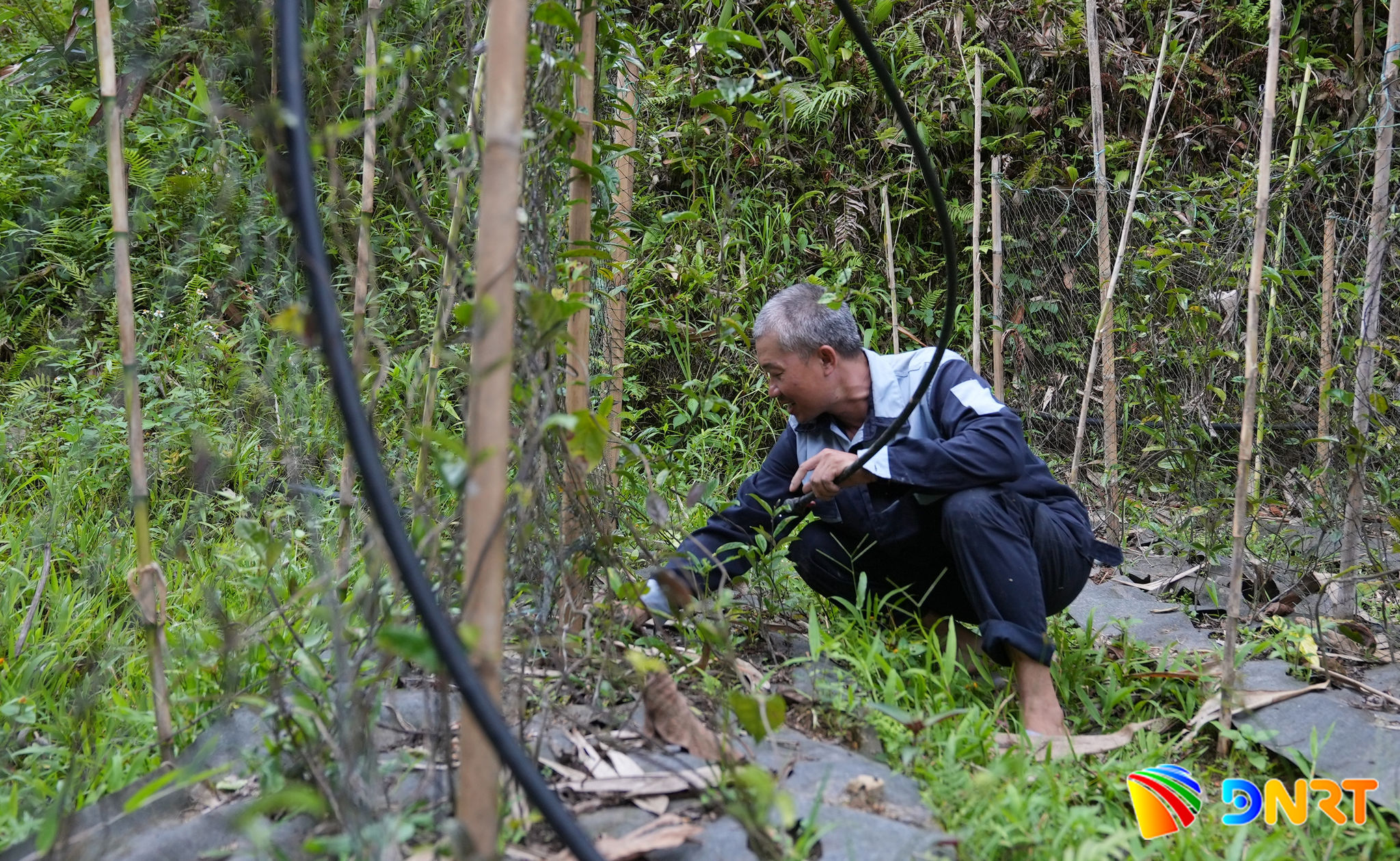 tay-giang-f023ba74ffcc856ded8b32b445aad0b1.jpg