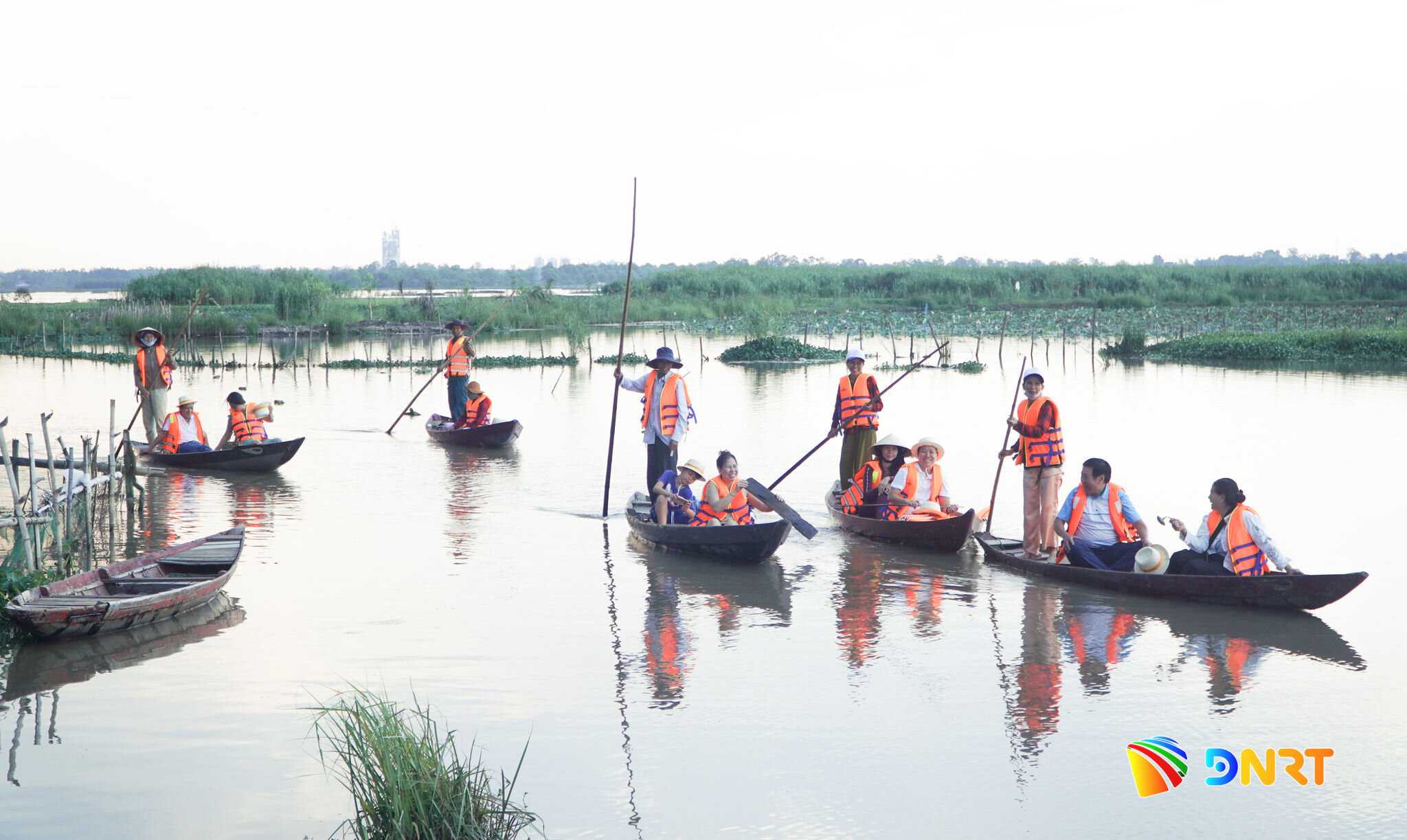 Chèo thuyền ngắm chim cò