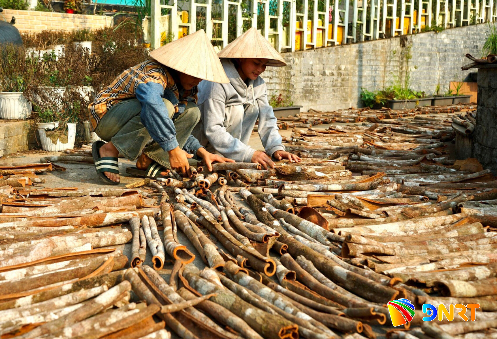 Trợ lực cho phát triển miền núi