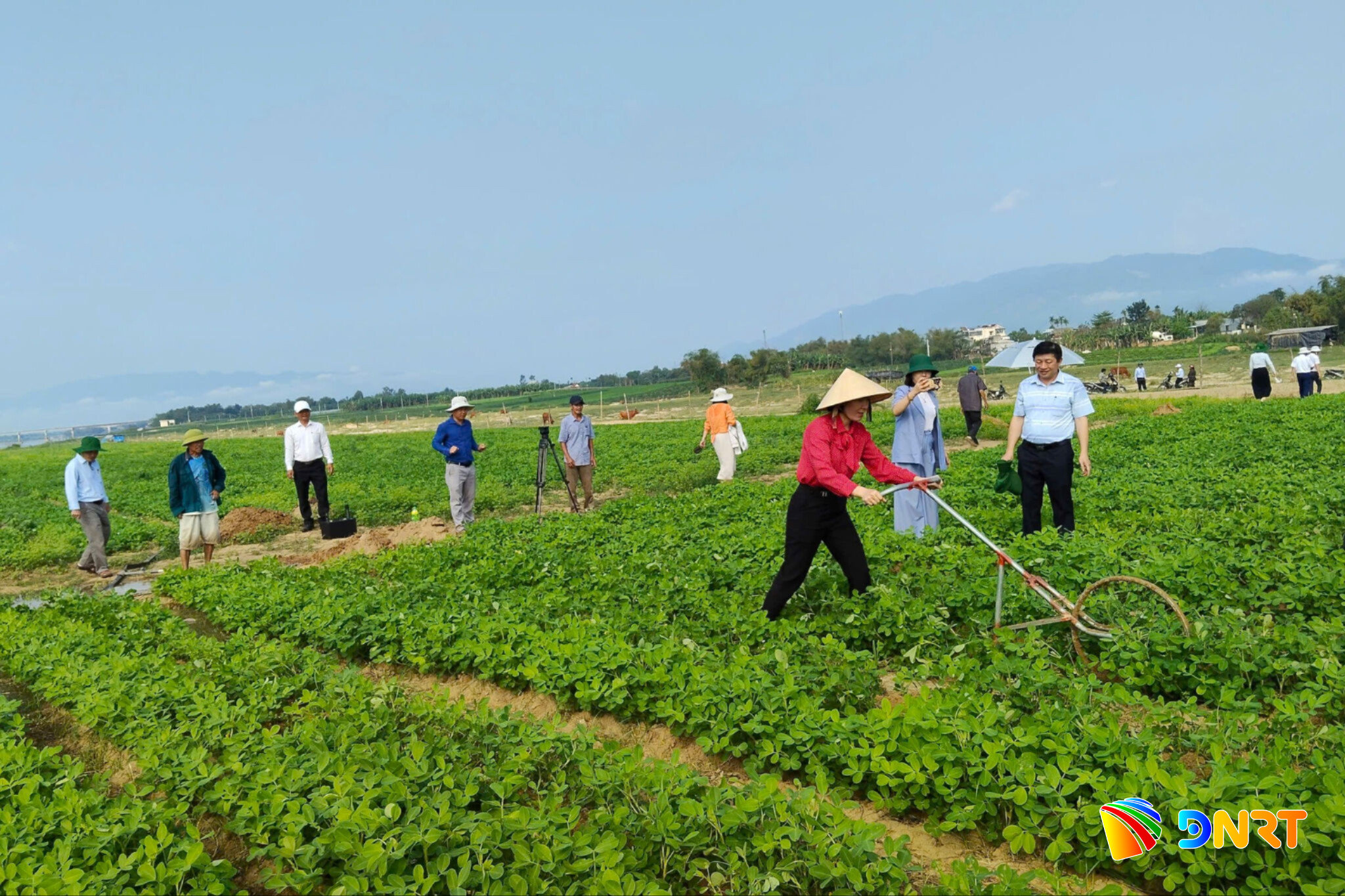 hinh-1-dong-chi-le-thi-minh-tam-chu-tich-hoi-nong-dan-tp-da-nang-tham-mo-hinh-trong-dau-phung-su-dung-phan-bon-ung-dung-cong-nghe-eco-nanomic-2-.jpg